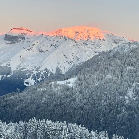 Samoens 1600 Les Cimes Apartman Kültér fotó